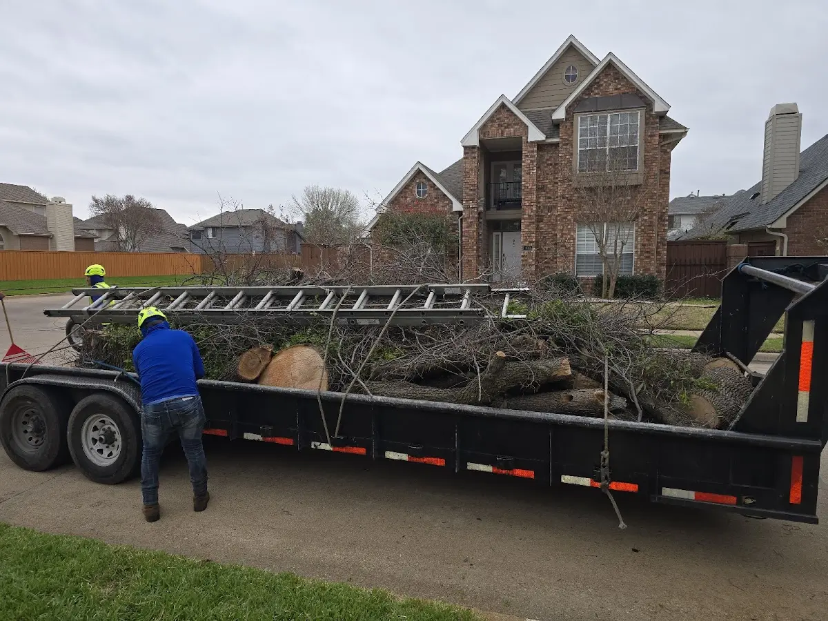 Expert Lot Clearing with proper safety equipment in Reseda